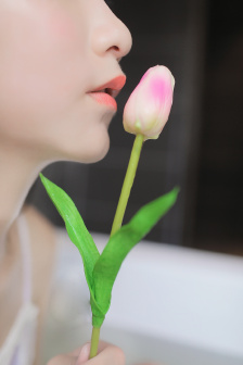 欧美高清视频看片在线观看